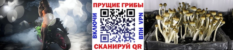 Галлюциногенные грибы мухоморы  Купить где  Липки 
